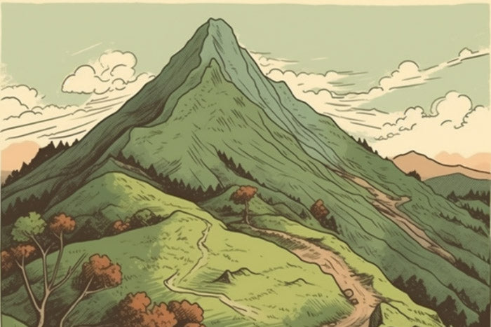 Lowa shoes: quality, comfort, and protection for your next adventure