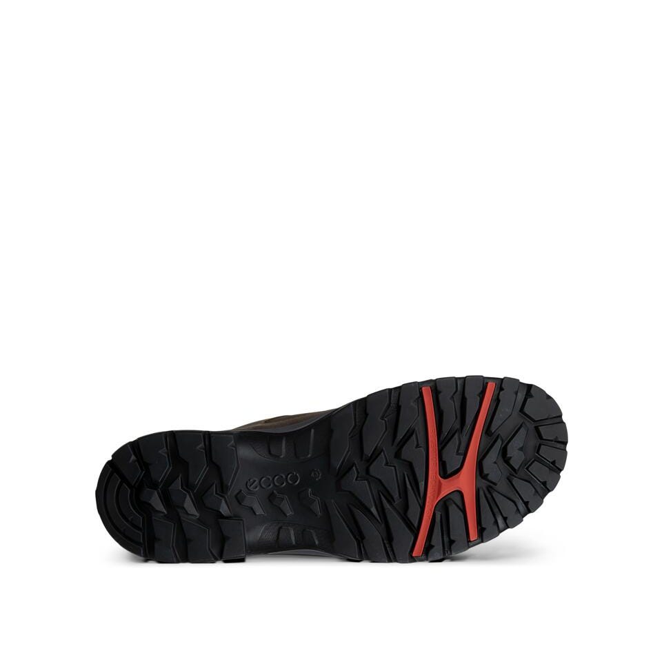 ECCO Receptor Trekk M WP Shoe