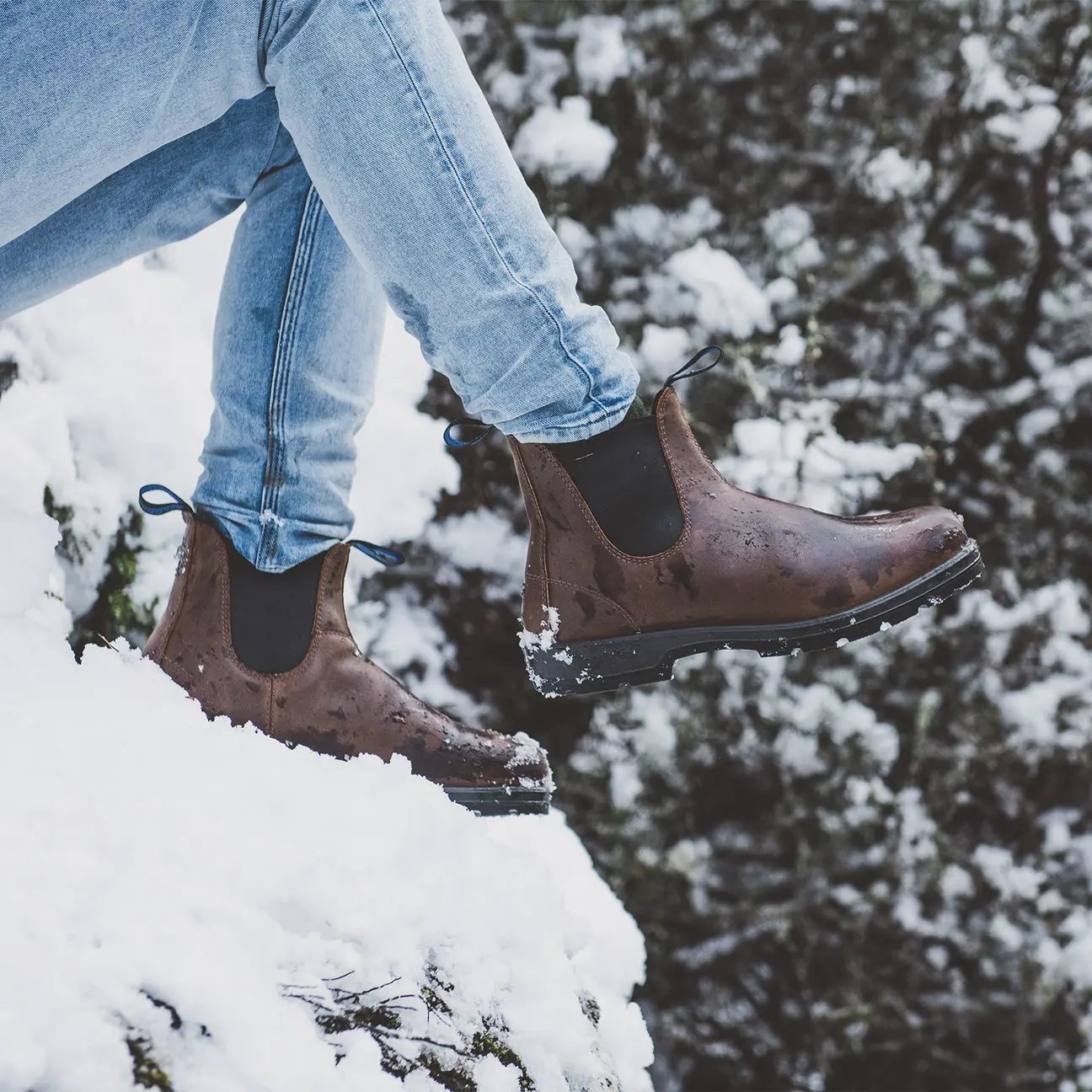 BLUNDSTONE  1477  WINTER THERMAL