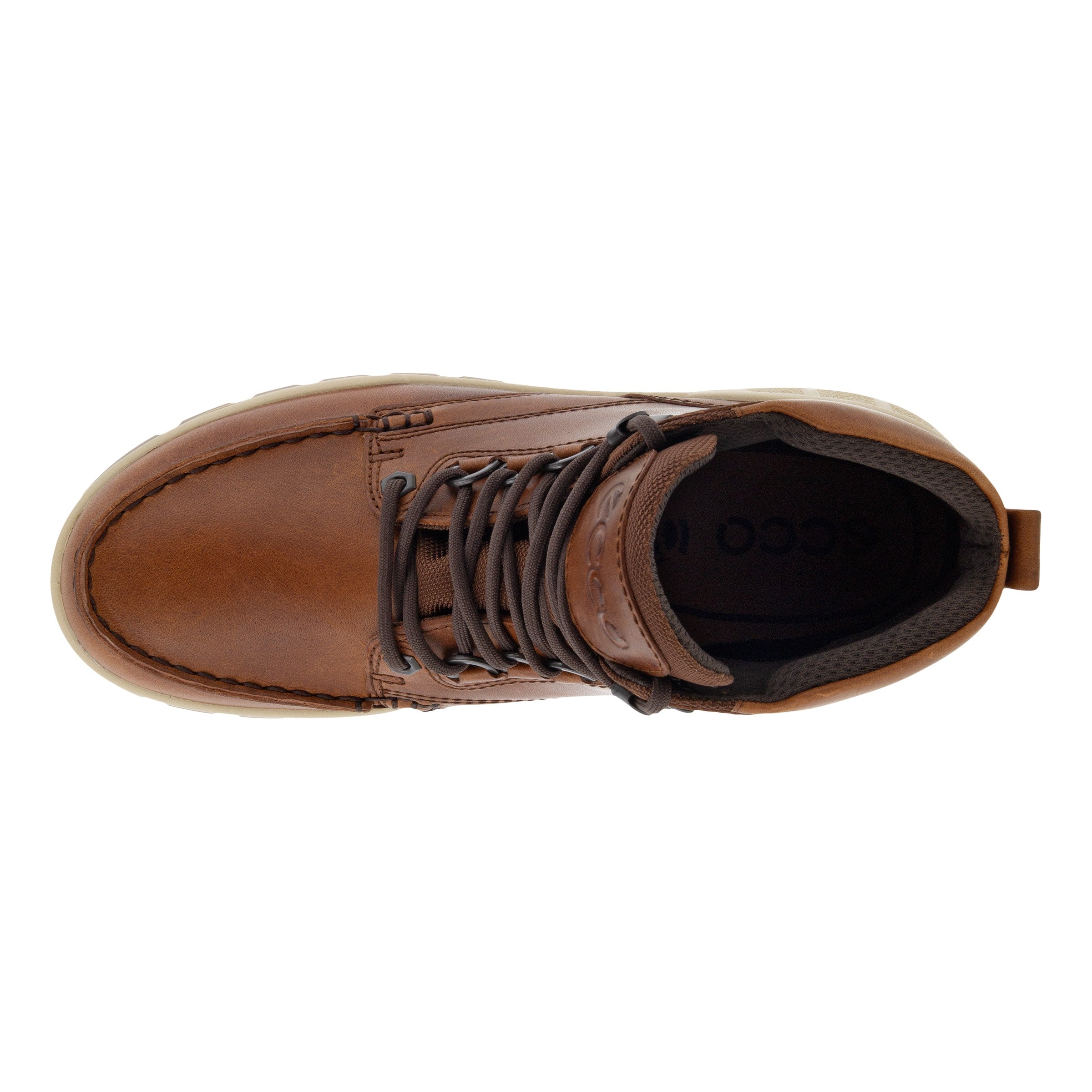 ECCO TRACK 25 MENS GTX MOCHA