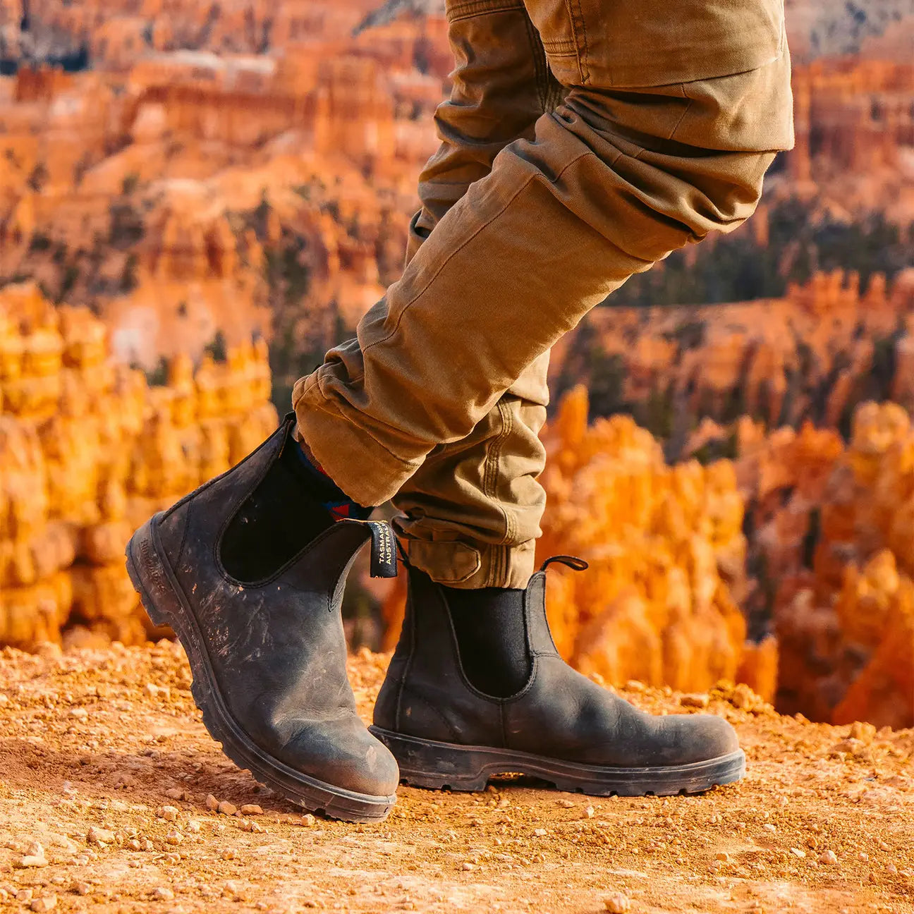 BLUNDSTONE 558 CLASSIC