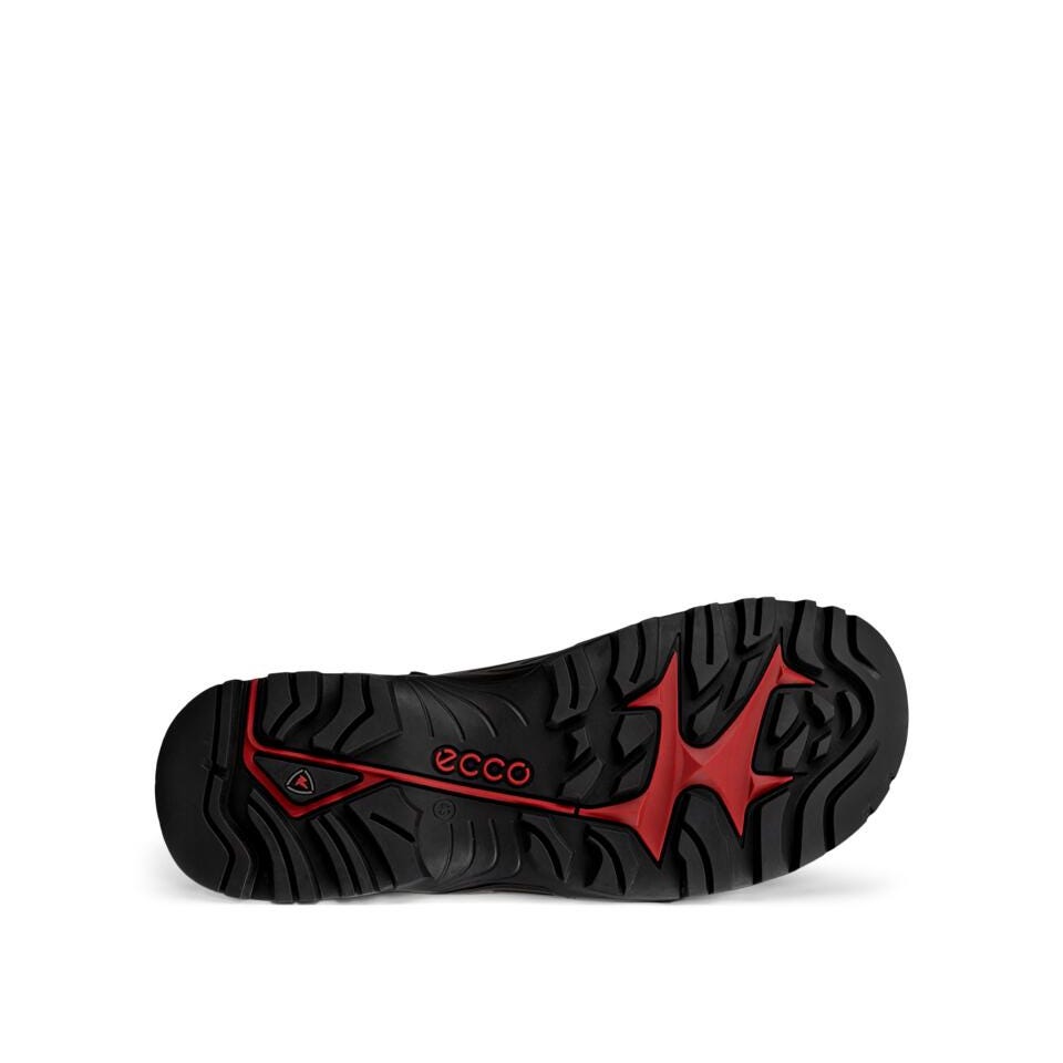 ECCO OFFROAD M BOOT WP