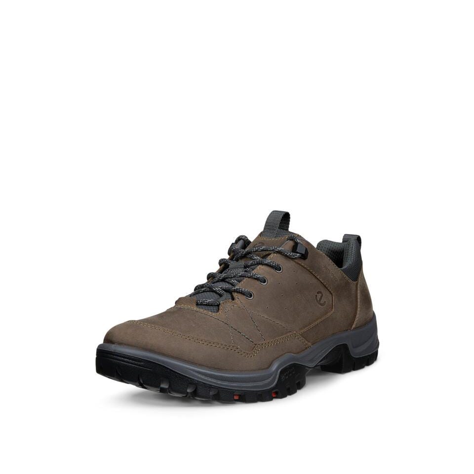 ECCO Receptor Trekk M WP Shoe