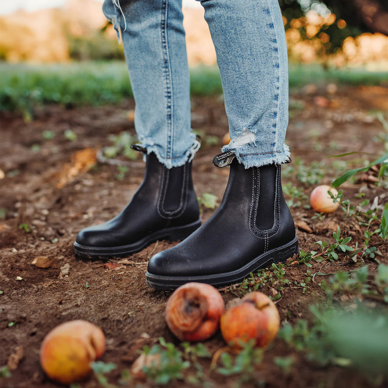 BLUNDSTONE 1448 WOMEN'S SERIES HI TOP BLACK