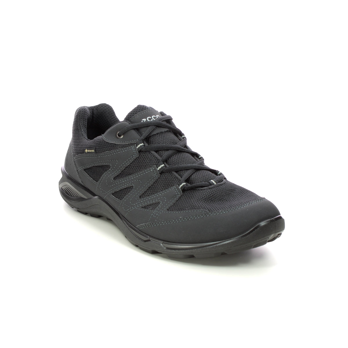 ECCO TERRACRUISE LT HOMME NOIR-NOIR