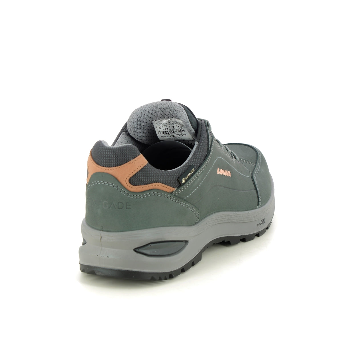 LOWA Renegade Evo GTX LO Women's Walking Shoe